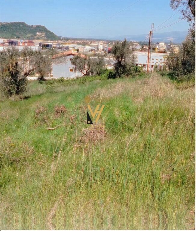 SHITET TOKE 1.500 M2 NE KASHAR 210.000 EURO