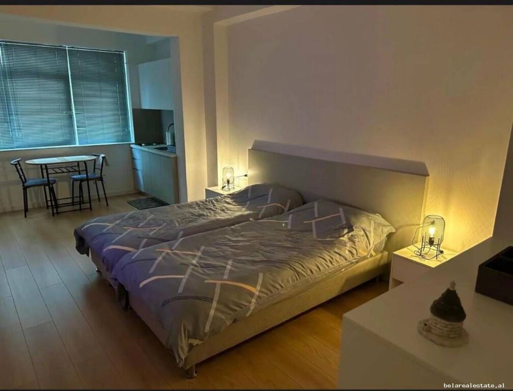 Garsoniere Me Qera Ne Bllok (ID BG193) Tirane