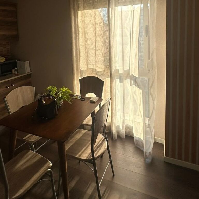 🏡 APARTMENT 1+1 FOR RENT | DELIJORGJI