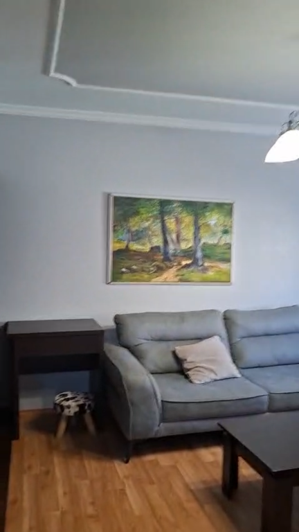 Apartament 1+1 per qera Rruga e Elbasanit !