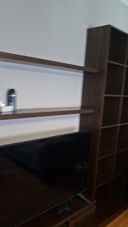 Apartament 1+1 per qera Rruga e Elbasanit !