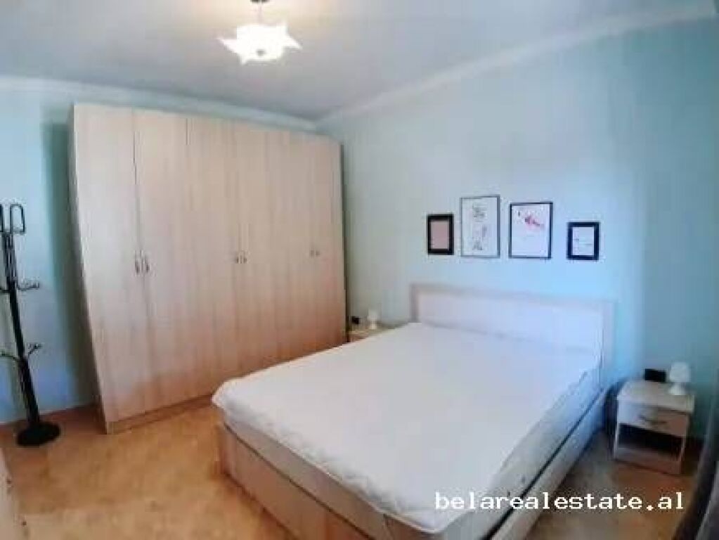 Vile Me Qera 1+1 Tek Zogu I Zi (ID BV22716) Tirane