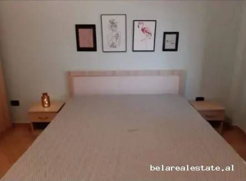 Vile Me Qera 1+1 Tek Zogu I Zi (ID BV22716) Tirane