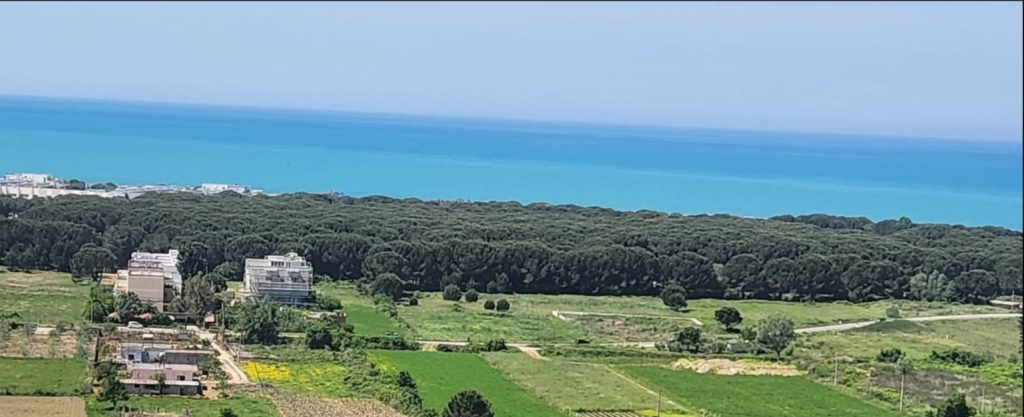 TOKË PËR SHITJE – GJIRI I LALZIT