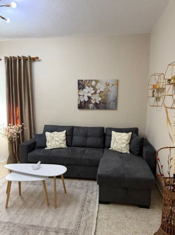 Apartament me qira 1+1 | Rruga e Elbasanit