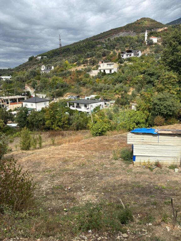 SHITET TOKË NË LANABREGAS – TIRANË