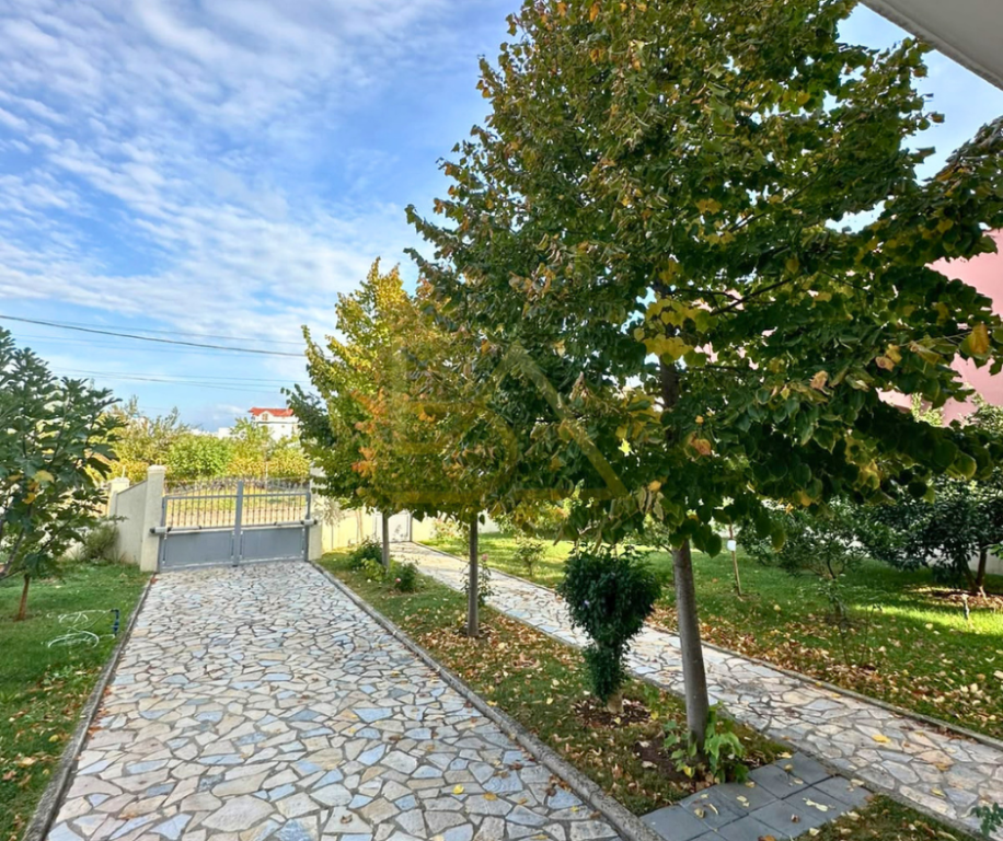 SHITET VILË 3-KATËSHE ME PAPAFINGO – KAMËZ