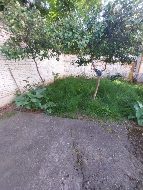 Affittasi casa privata 1+1 con cortile in via Myslym Shyri!