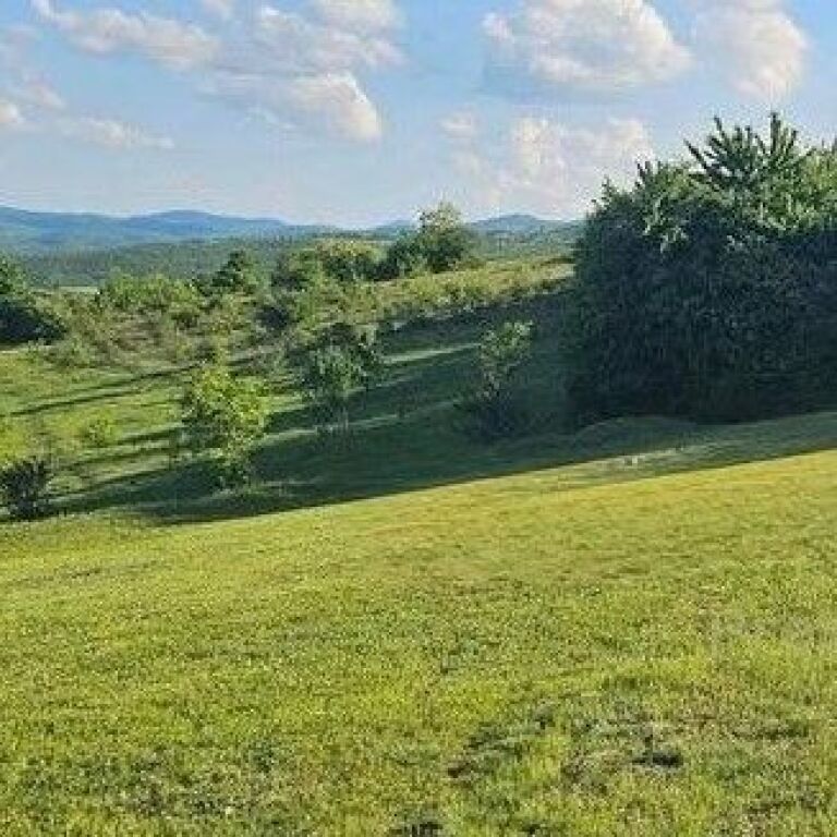 🌿🏡 SHITET TOKË | FARKË, TIRANË 🏡🌿