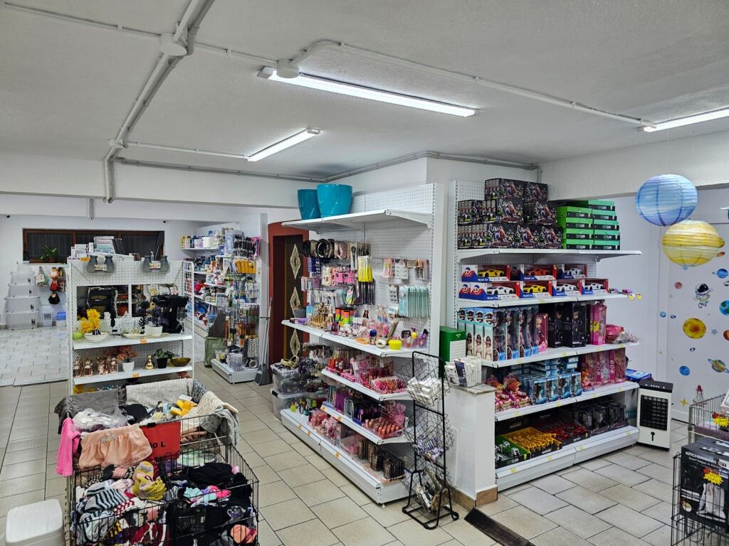 Jepet ambient biznesi me qira tek Rruga Ali Demi , buze Rruges , prane Raiffeisen Bank .   