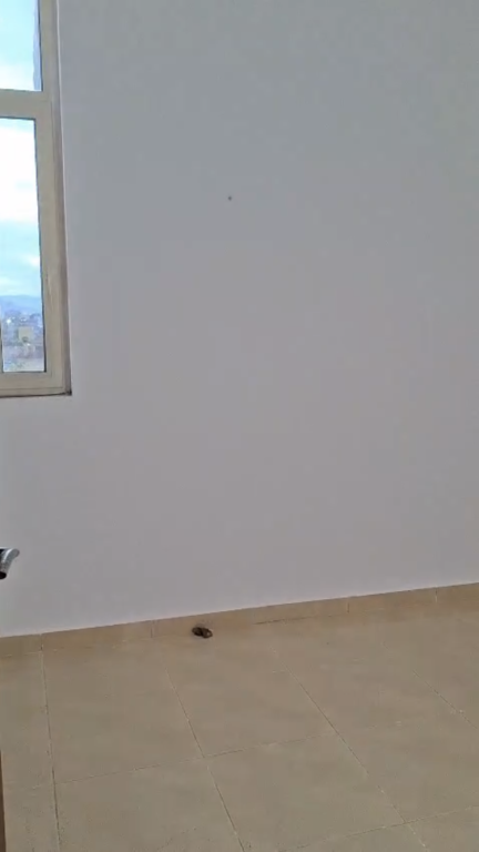 For rent 3+1 Mihal Grameno street 400 per month