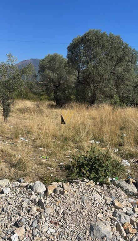 SHITET TOKE 1.400 M2 NE BERZHITE 185.000 EURO