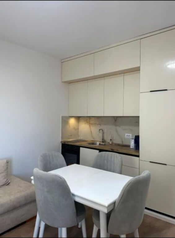 Apartament 1+1 per qera tek Zogu i zi