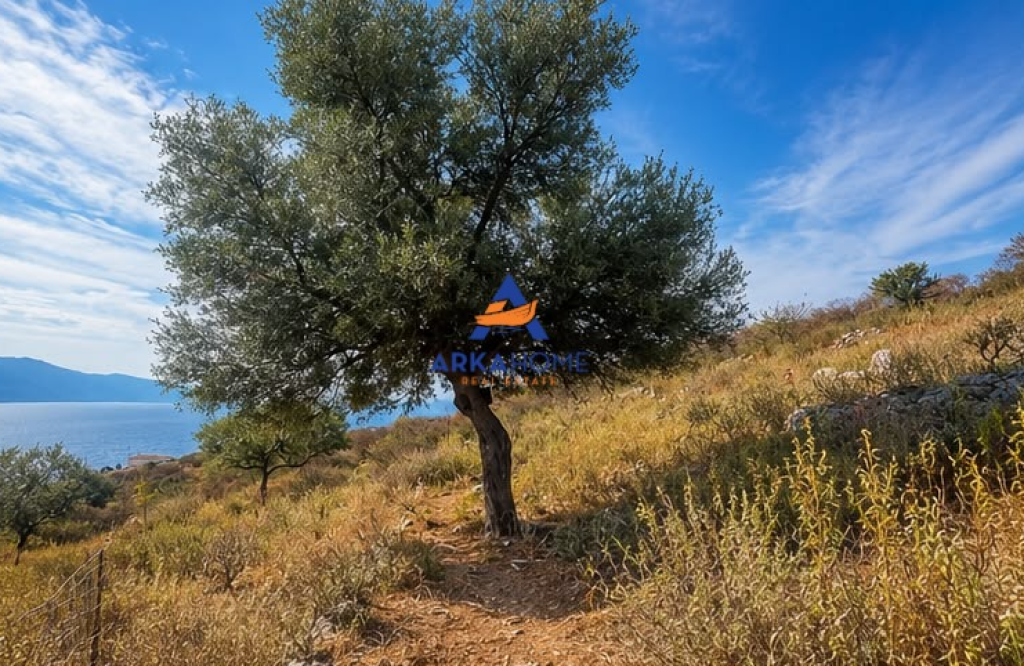 SHITET TOKE 460 M2 "NE QEPARO" 10.200.000 LEKE