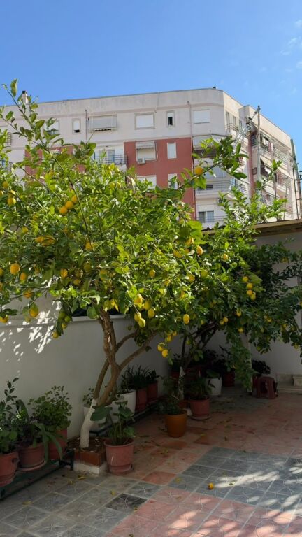 Shtëpi Private 2+1 me Qira Oborr &amp; Parkim – Fusha e Ali Demit !