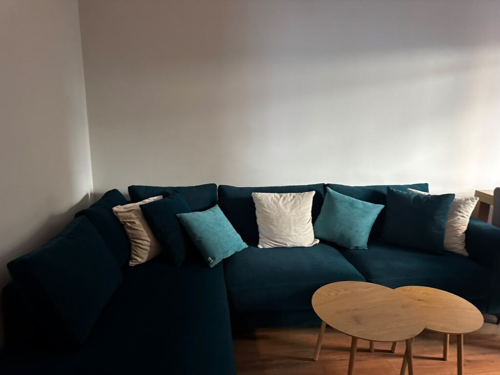 JEPET ME QIRA APARTAMENT 2+1, RRUGA VASO PASHA, TIRANE