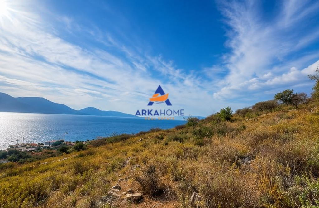 SHITET TOKE 460 M2 "NE QEPARO" 10.200.000 LEKE