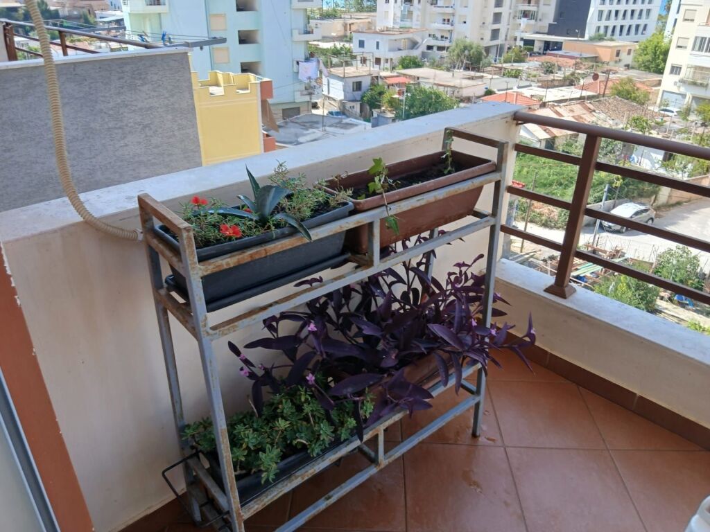 Apartament