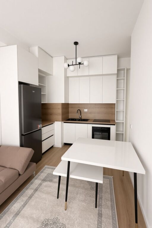 1+1 apartment for rent