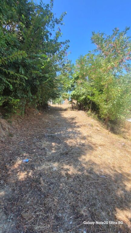 🏡 SHITET SHTËPI E VJETËR ME 3500  TOKË me  ULLINJ – 6 km nga bregdeti Spillese