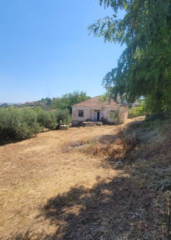 🏡 SHITET SHTËPI E VJETËR ME 3500  TOKË me  ULLINJ – 6 km nga bregdeti Spillese