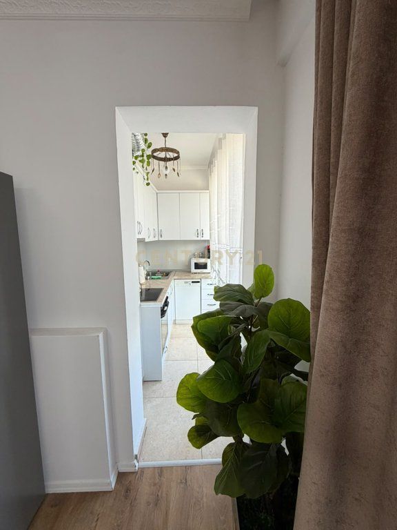 Kepet me qira apartament 1+1 ne Qender te Tiranes.