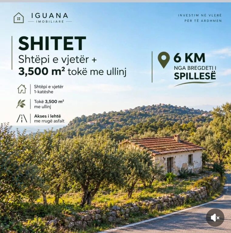 🏡 SHITET SHTËPI E VJETËR ME 3500  TOKË me  ULLINJ – 6 km nga bregdeti Spillese