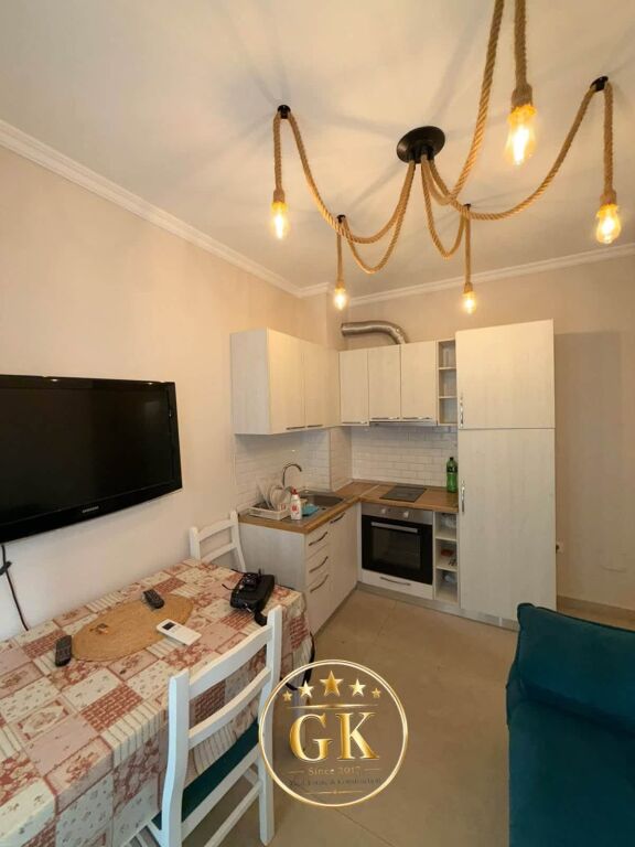 FOR RENT 1+1+BALCONY AT HOTEL VIVAS PLAZH 350 €
