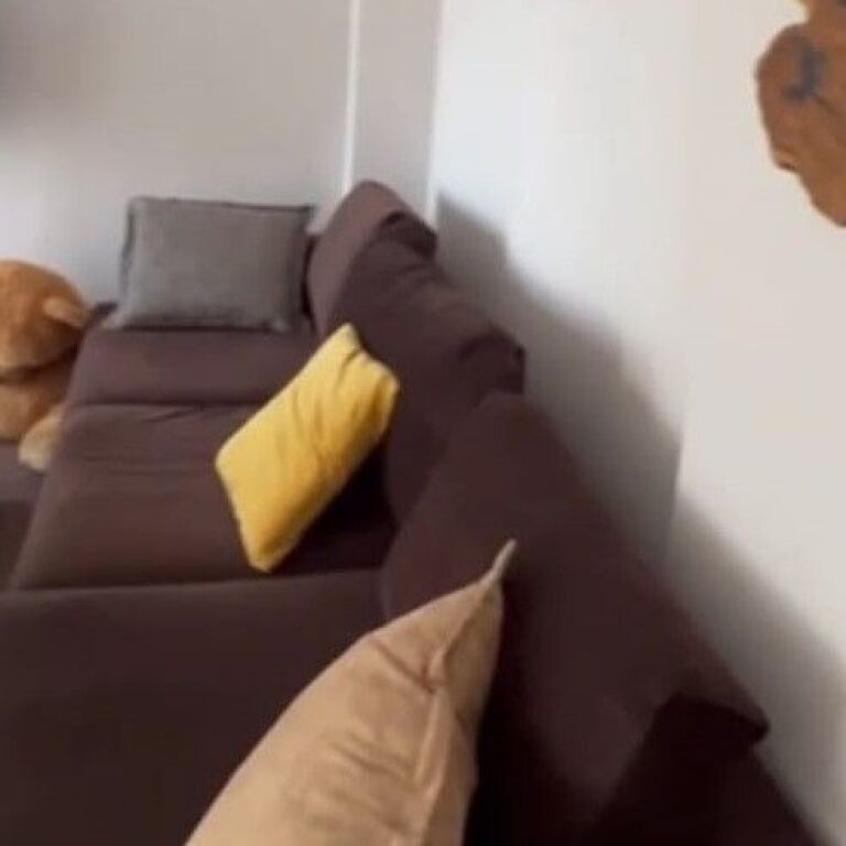 🏡 JEPET ME QIRA APARTAMENT 2+1+2 – KOPSHTI ZOOLOGJIK