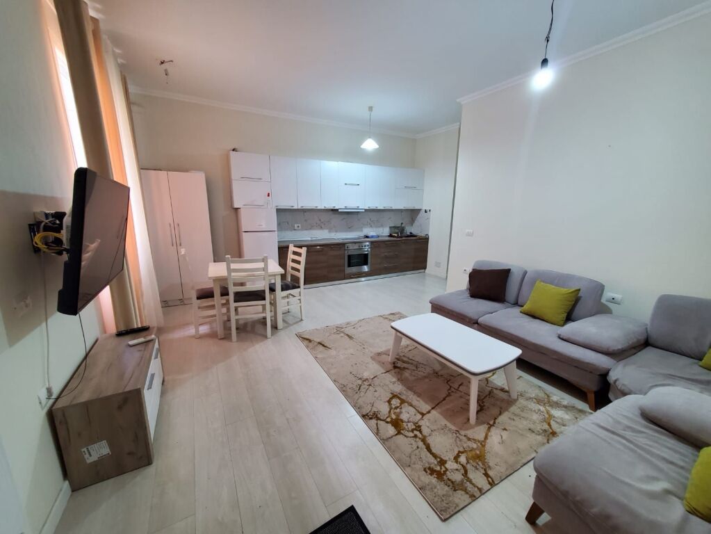 Apartament Me Qera 1+1 Tek Liqeni Artificial (ID B210135) Tirane