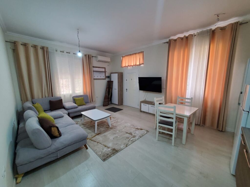 Apartament Me Qera 1+1 Tek Liqeni Artificial (ID B210135) Tirane