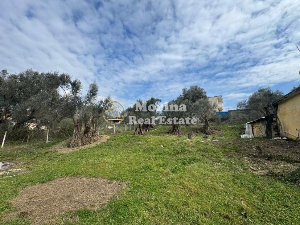 Shitje | Tokë +Truall +Banese | Farkë | 345000 €