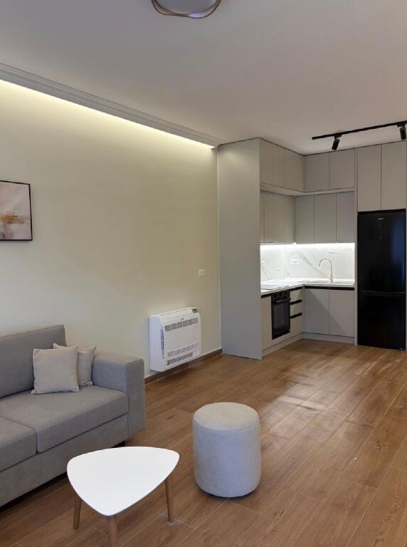 Apartament 1+1 me qera ,Rruga Dritan Hoxha