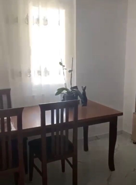 Qera, Apartament 1+1, Rruga Dibres, Tirane