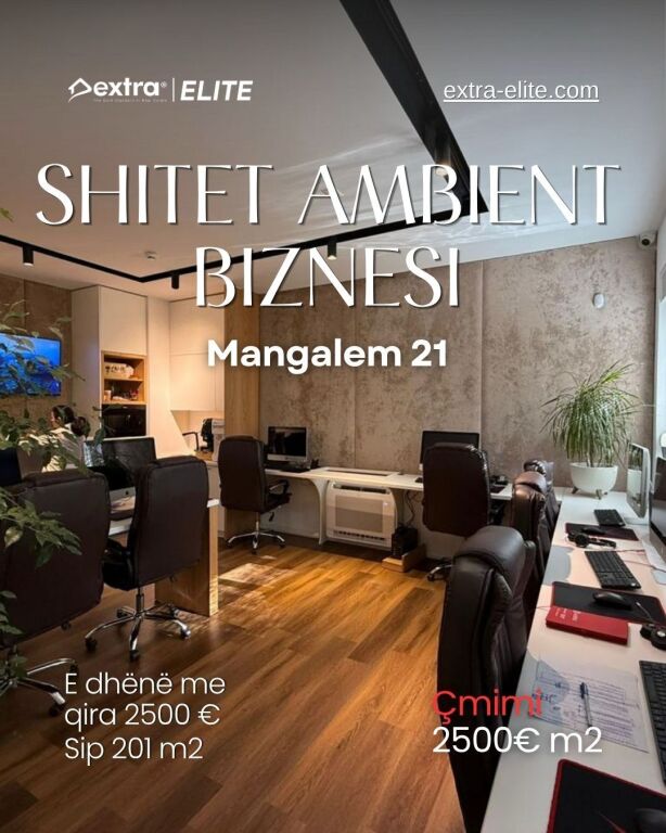 SHITET AMBIENT BIZNESI