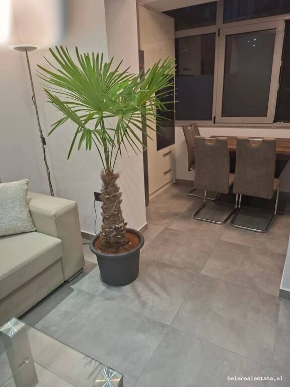Apartament Me Qera 1+1 Tek Komuna E Parisit (ID B2101959) Tirane