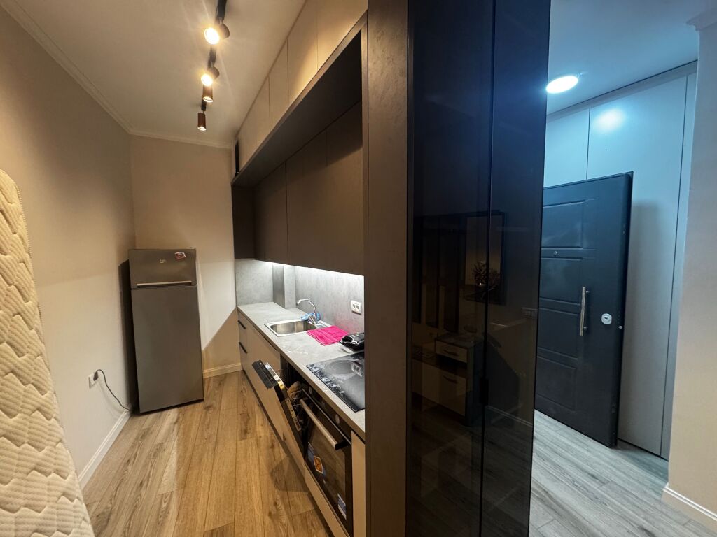 1+1 apartment for rent teg