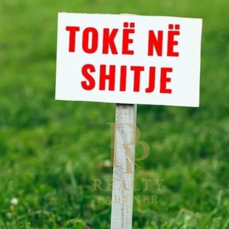 🌳 SHITET TOKË | PRUSH, TIRANË