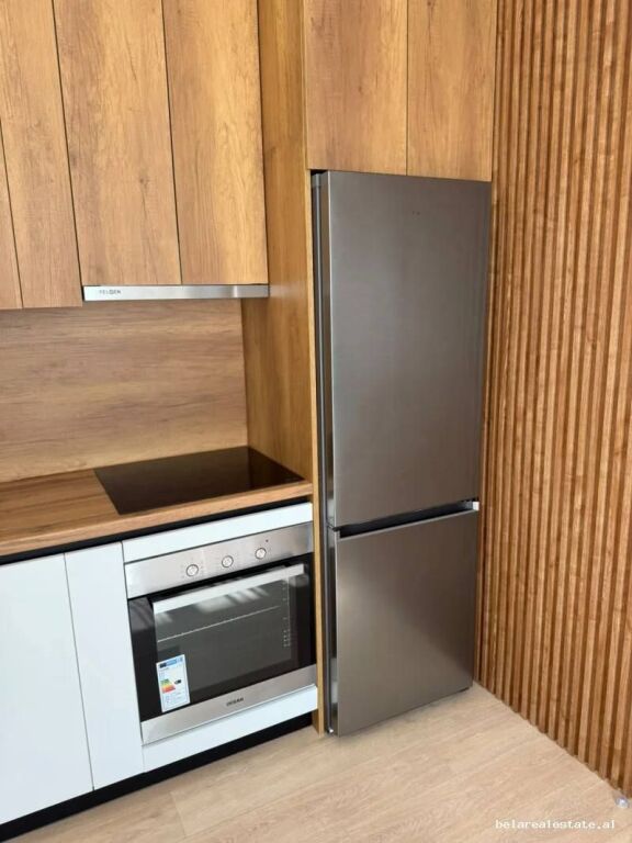 Apartament Me Qera 1+1 ne Myslym Shyr (ID B211506) Tirane