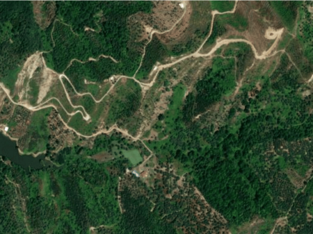 VENDITA DI TERRENO DI 41500 M2 PIANTUMATO CON ALBERI DA FRUTTO VORË