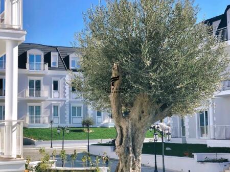 APARTAMENT ME QERA 2+1 TEG 290.000 EURO