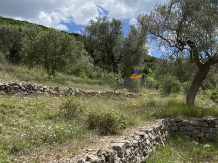 IN VENDITA 4000 M2 TERRENO "PETRELE" 300.000 EURO