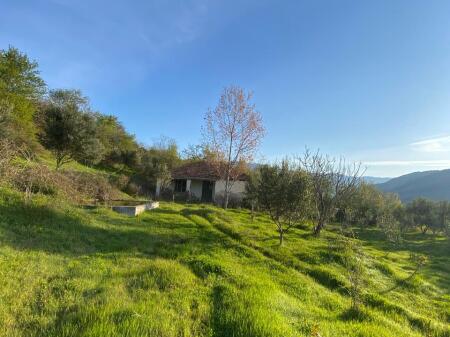 Casa privata con terreno in vendita