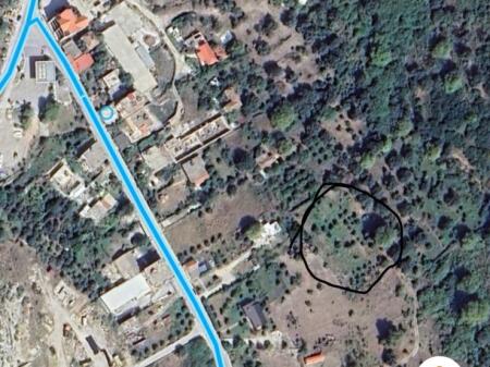 Vendiamo terreno 2000 m2 (1500 con documenti) a Borsh
