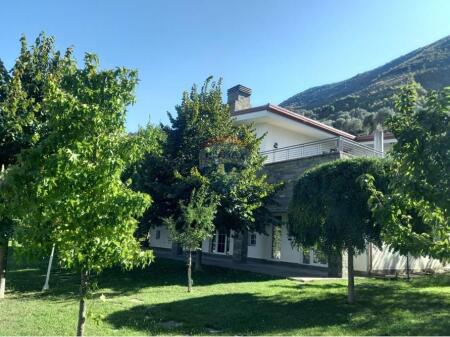 Villa - In Vendita - Bërzhitë, Tirana (ID: 530191063-145)