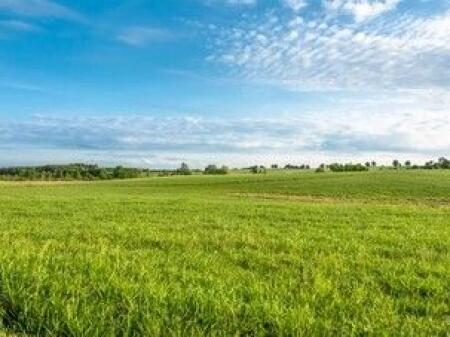 TERRENO IN VENDITA A MAMINAS 