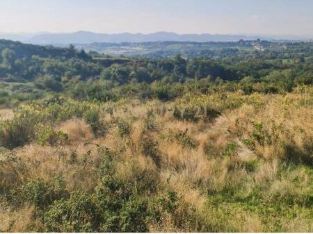  Terreno Commerciale in Vendita – Priske, Dajt