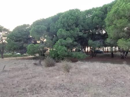 TERRENO IN VENDITA 300M+ Are 600M NEL SETTORE RINIA