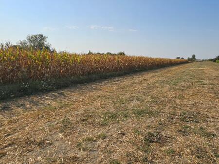 TERRENO AGRICOLO IN VENDITA A SUKTH – PIANTATO CON MAIS