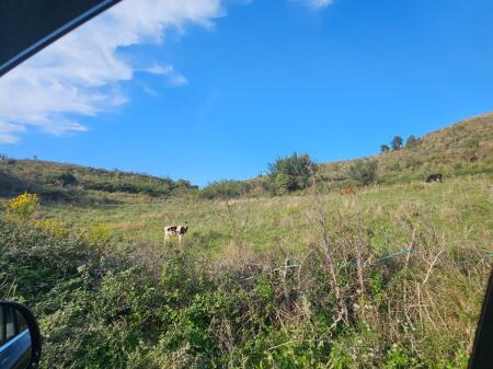 TERRENO IN VENDITA COLLINA KALLM DURRES